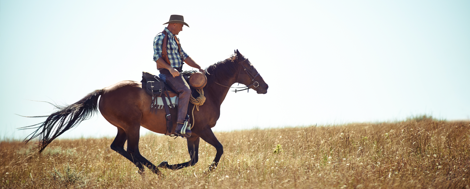 man riding horse in field