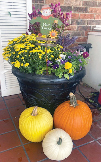 bright yellow orange and white pumpkins around pot of bright flowers