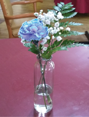 carnation flowers from FFA/NHS