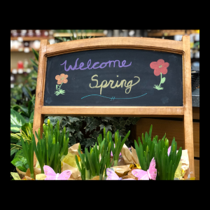 welcome spring on chalkboard sign